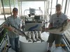 (07/26/2016) - Nice Striped Bass